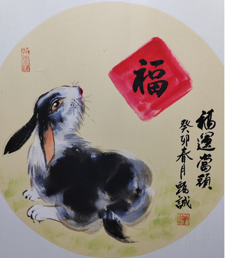 图片11