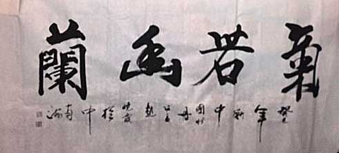 赵晓霞作品
