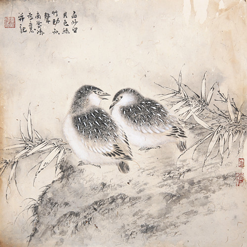 白沙留月