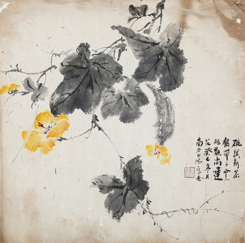 丝瓜