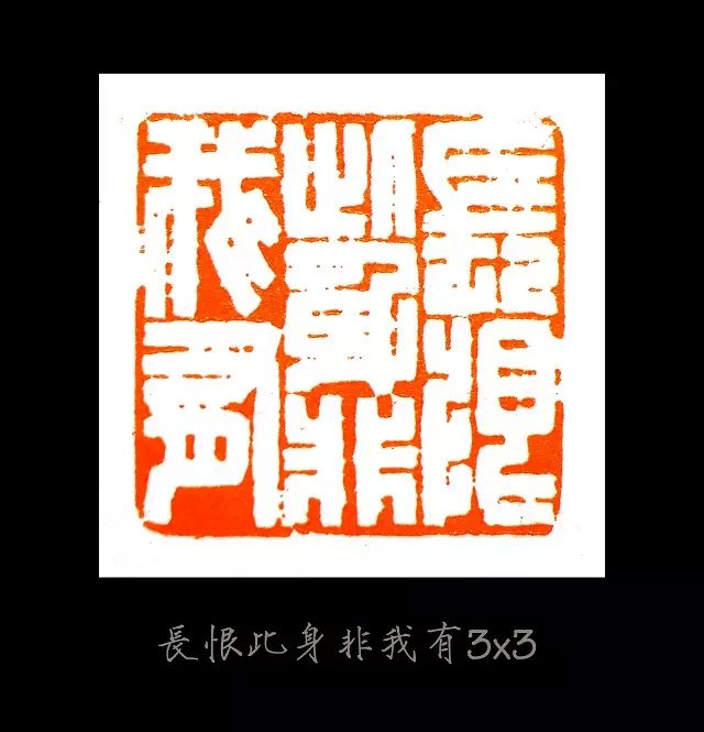 长恨此身非我有