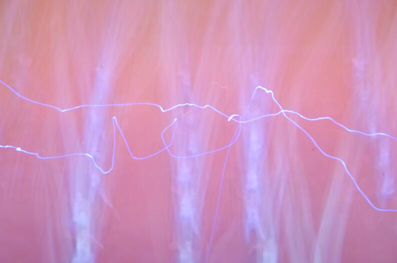 董化斌作品